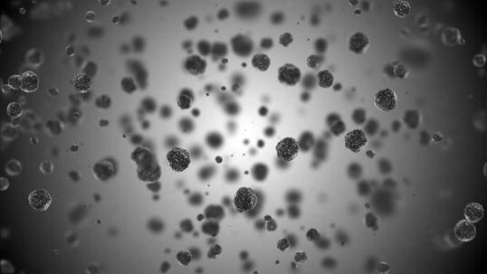Pollutants